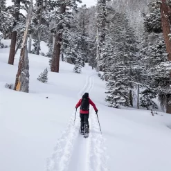 Jones High Sierra Schneehose Stealth Black Herren -Snowboard Ausrüstung Geschäft jones high sierra pant stealth black 05 grosswzuHXuOY1M5As