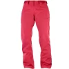 Salomon Fantasy Snowboardhose Hibiscus Heather Damen